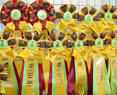 �������� ����� '���-�����-��������' 20-21 �������� 2014 169A1797 copy.jpg